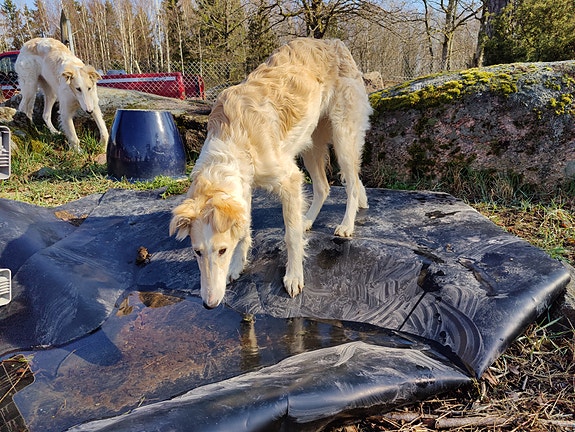 Product image 5 of 9