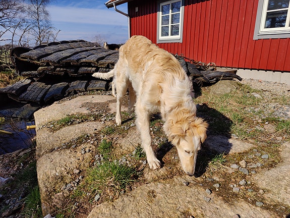 Product image 9 of 9