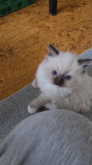 Product image 3 of 5