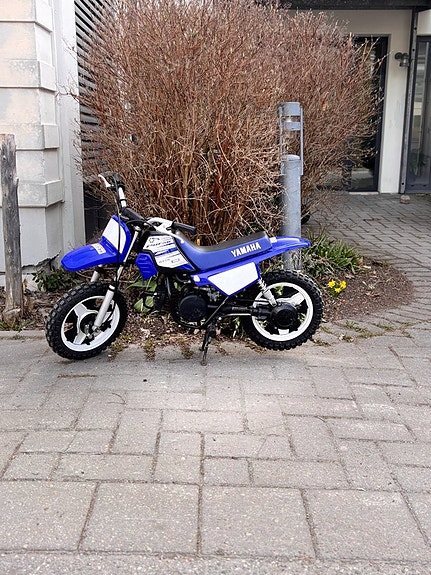 Yamaha PW50
