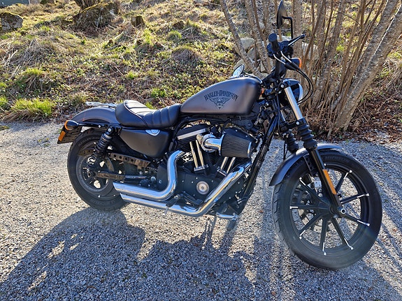 Harley-Davidson Iron 883 XL 2 of 6