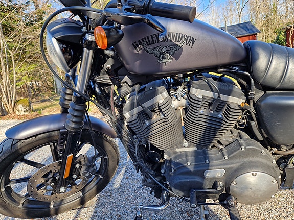 Harley-Davidson Iron 883 XL 6 of 6
