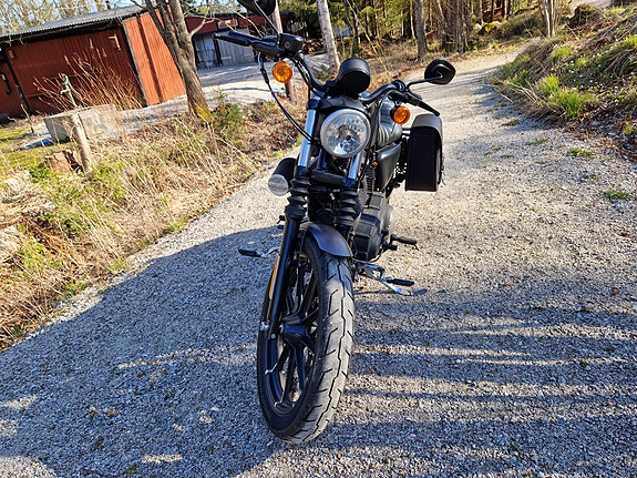 Harley-Davidson Iron 883 XL 3 of 6