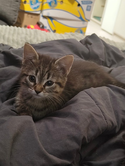 Product image 3 of 7