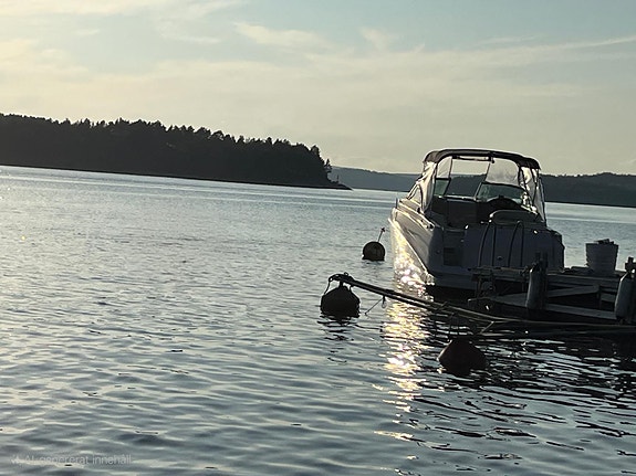 Rinker Fiesta Vee 250 - nytt Bravo 3 drev 2025, välutrustad familjebåt 2 of 15