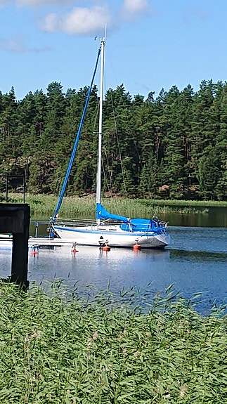 FORGUS 31 — View photo 1