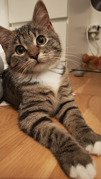 Product image 6 of 8