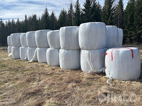 Ensilage i rundbalar 2024-2025