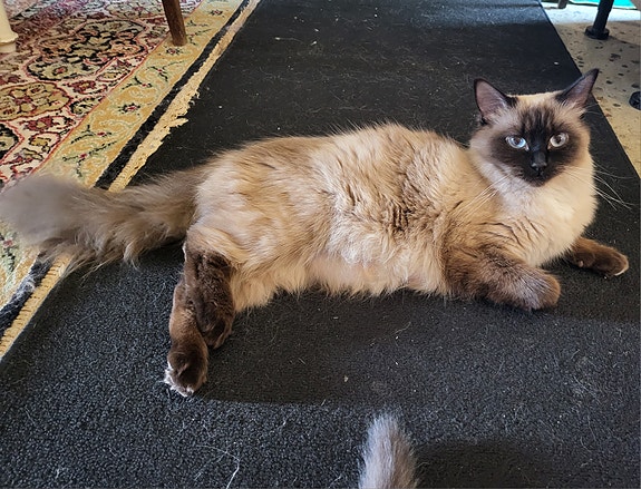 Product image 9 of 10