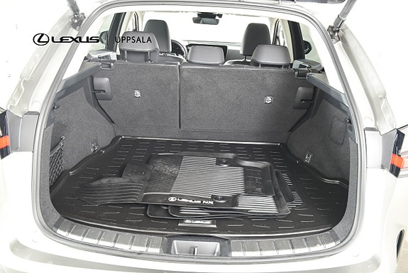 Lexus NX450h+ 9 of 20