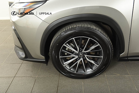 Lexus NX450h+ 19 of 20