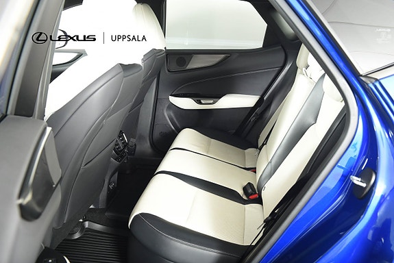 Lexus NX450h+ 7 of 19