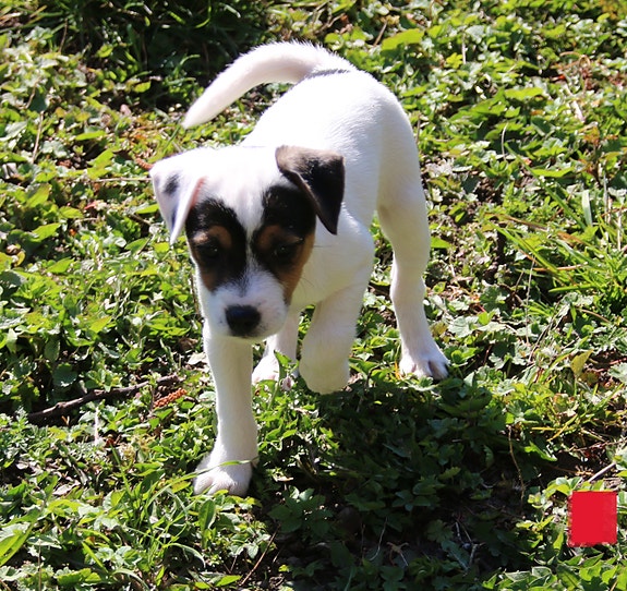 Product image 4 of 8