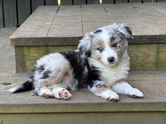 Product image 5 of 9