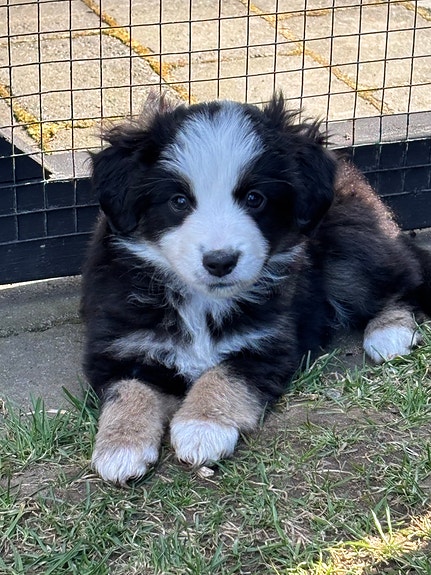 Product image 3 of 9