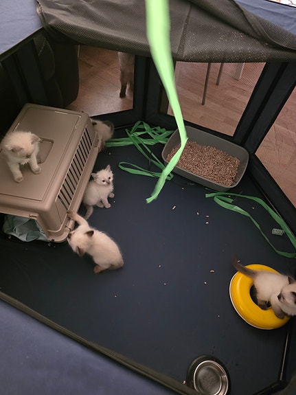 Product image 5 of 7