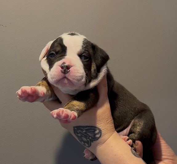 Product image 4 of 8