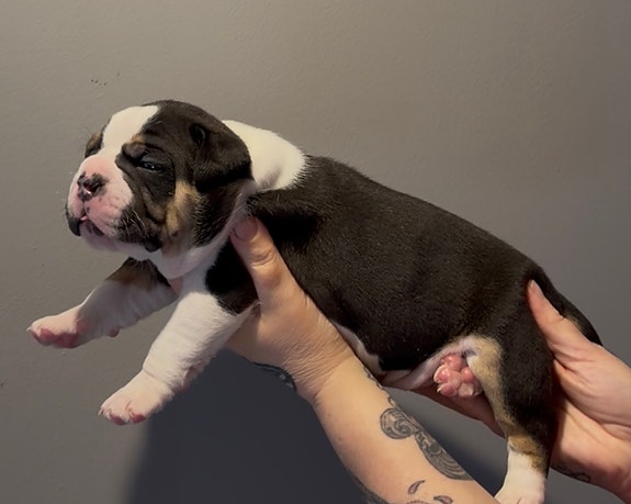 Product image 3 of 8