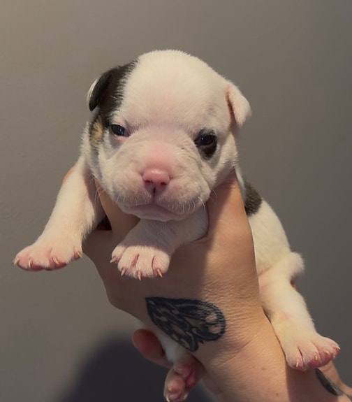 Product image 6 of 8