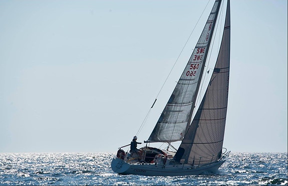 Scampi 30 — Vedi foto 1