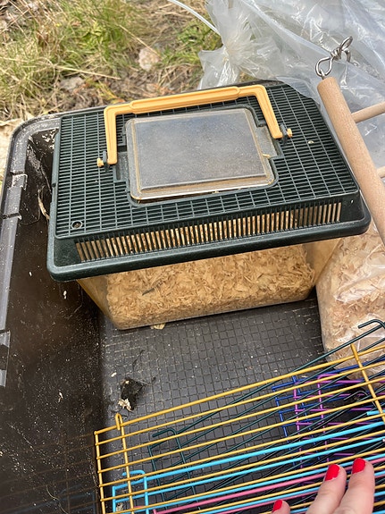 Product image 3 of 7