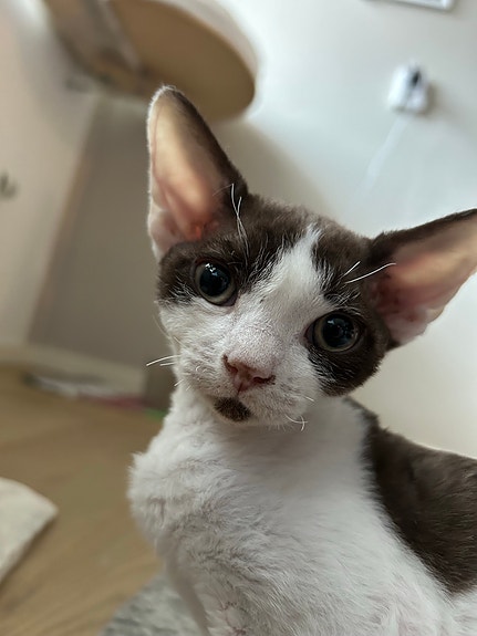 Product image 3 of 9