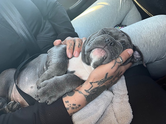 Product image 5 of 6