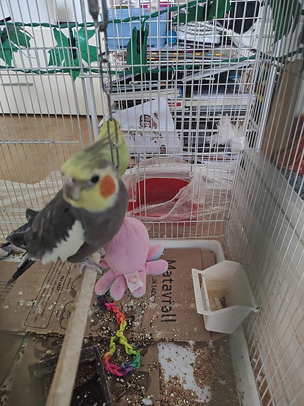 Product image 3 of 4