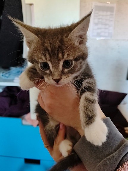 Product image 4 of 6