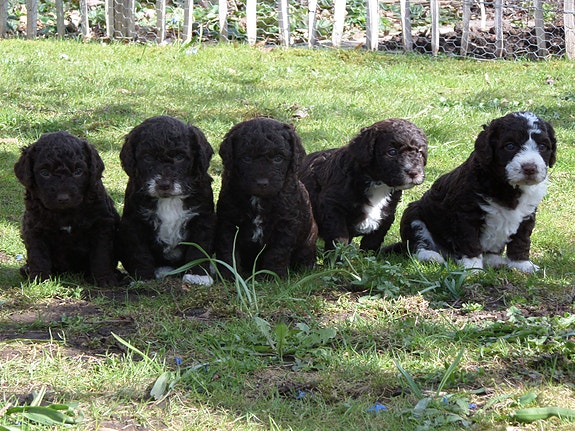 Product image 3 of 9