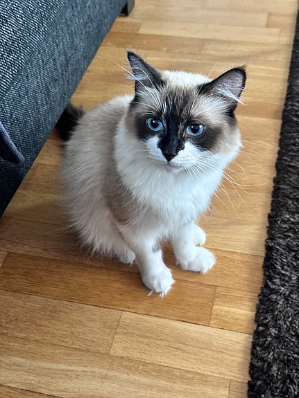 Product image 9 of 10