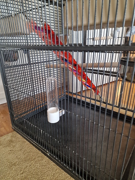 Product image 8 of 9