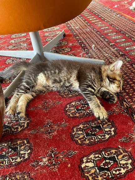 Product image 8 of 10