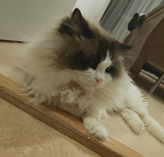 Product image 8 of 8