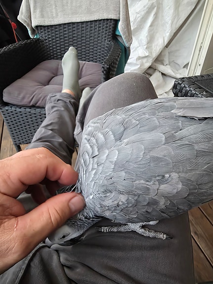 Product image 3 of 9