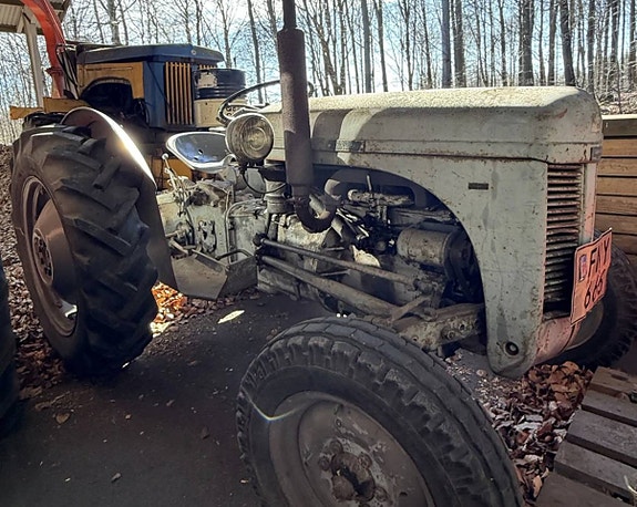 Traktor, Ferguson, Grålle - 1954