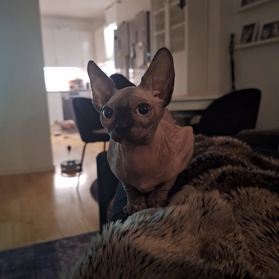 Product image 8 of 9