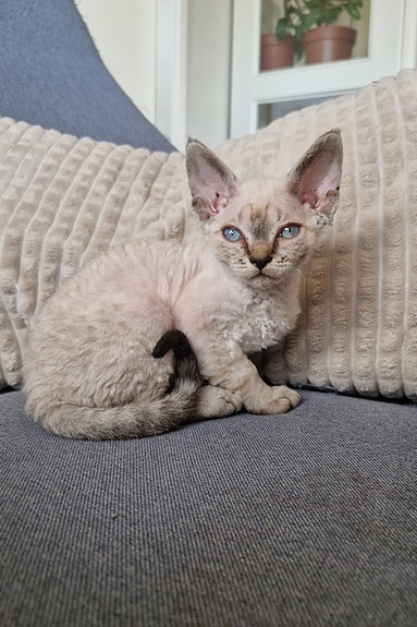 Product image 4 of 6