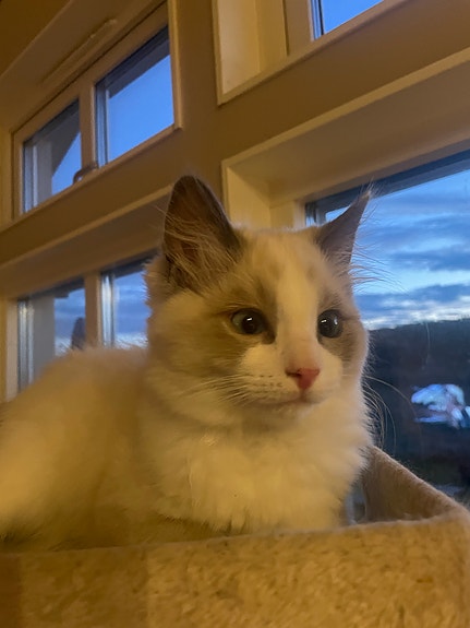 Product image 4 of 7