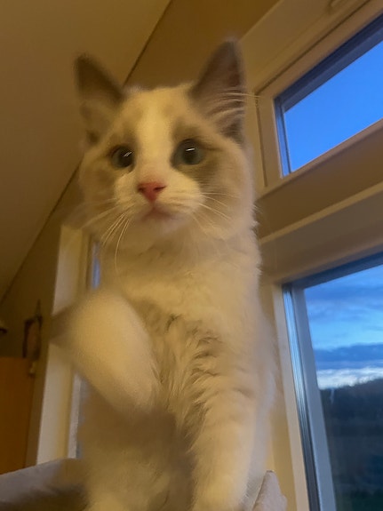 Product image 5 of 7