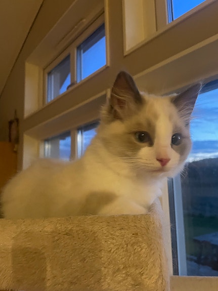 Product image 6 of 7