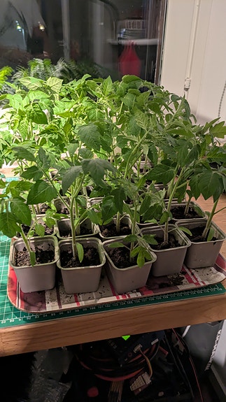 Product image 3 of 7