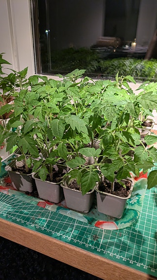 Product image 4 of 7