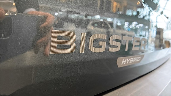 Dacia Bigster 21 of 22