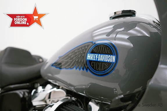 Harley-Davidson Lowrider ST FLXRST 7 of 24