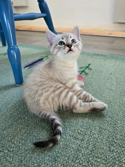 Product image 3 of 9