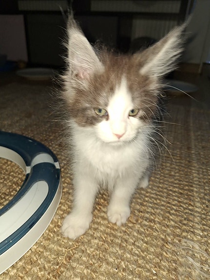 Product image 9 of 9