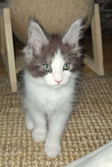 Product image 2 of 9