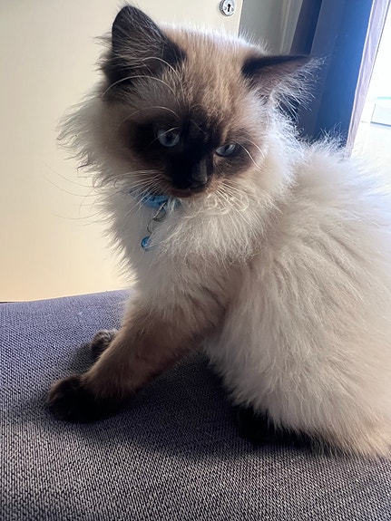 Product image 5 of 9