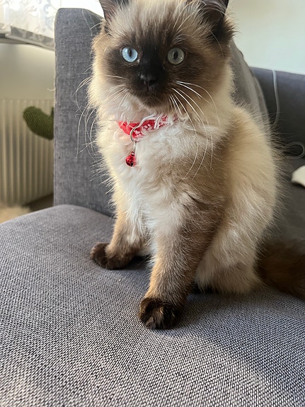 Product image 6 of 9